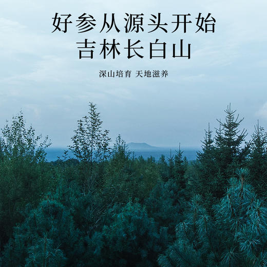 严选 | 杞里香东方颂西洋参礼盒 足龄老参 参龄软枝切片 商品图1