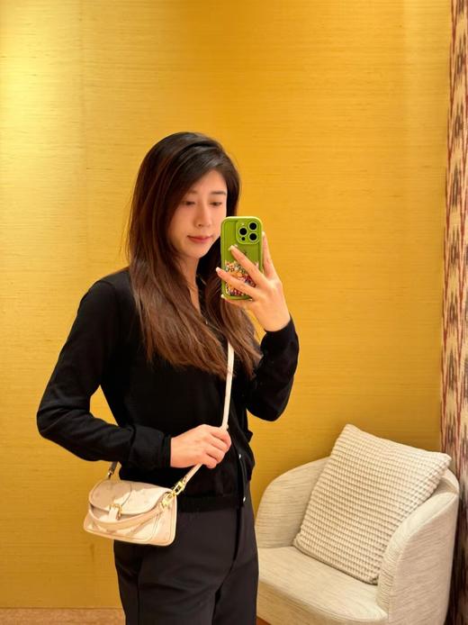 驴家Nano Diane 法棍手袋 特级MB163c芯片版原厂皮 (JPH) 商品图5