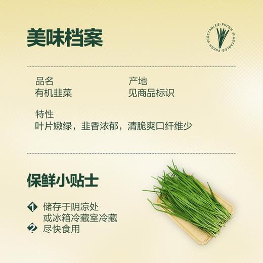 MM 山姆 有机韭菜 600g 商品图1