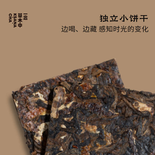 秉烛游·陈皮熟普 | 浮世茶系列 | 4g*15包 | 普洱茶 商品图1