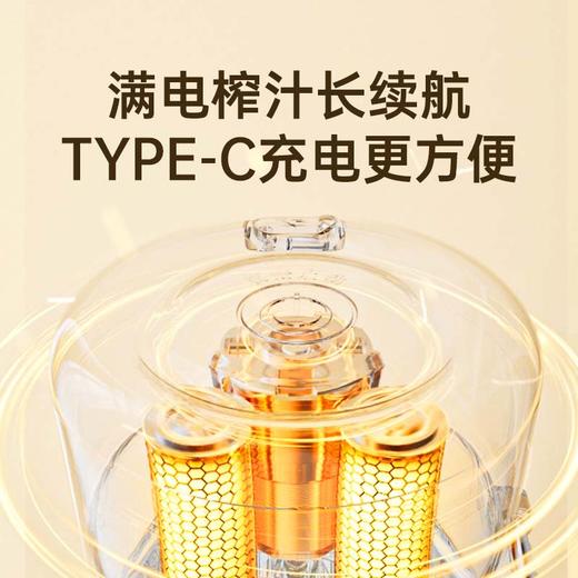 大宇榨汁机小型家用便携式水果蔬菜原汁机无线果汁榨汁杯料理机 商品图2