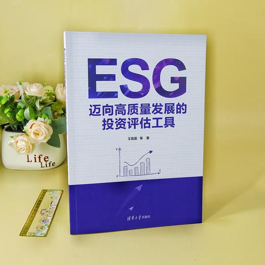 ESG 迈向高质量发展的投资评估工具 王盈盈等 著 金融与投资 商品图2