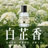 柏世曼130白芷香香水 清冷花香调持久留香药感小众男女士淡雅香氛 商品缩略图0