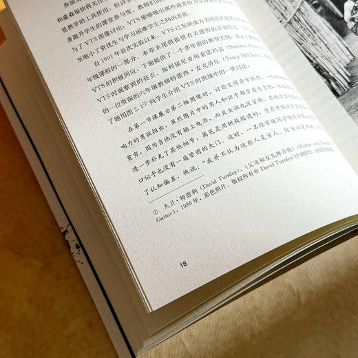 视觉思维策略 利用艺术深化跨学科学习 艺术与认知丛书 视觉艺术教学策略 商品图11