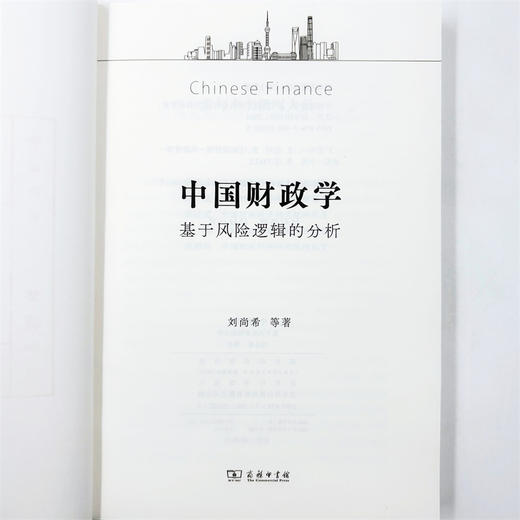 中国财政学：基于风险逻辑的分析 商品图4