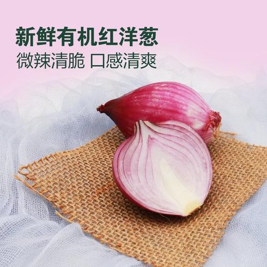 MM 山姆 Member's Mark 有机红洋葱 1kg 商品图3