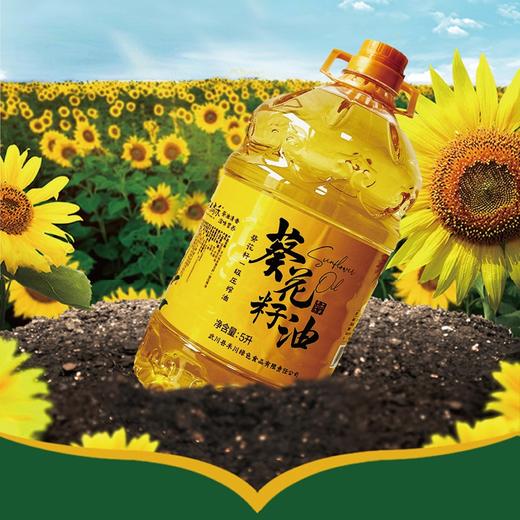 葵花籽油 5L 商品图1