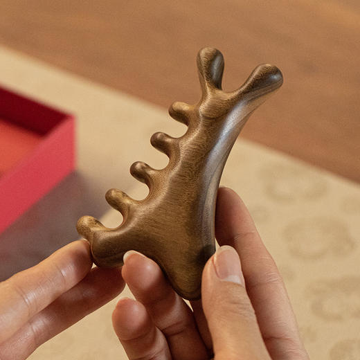 金丝楠木按摩梳五合一养生按摩梳&古沉木雕梅花梳 商品图1