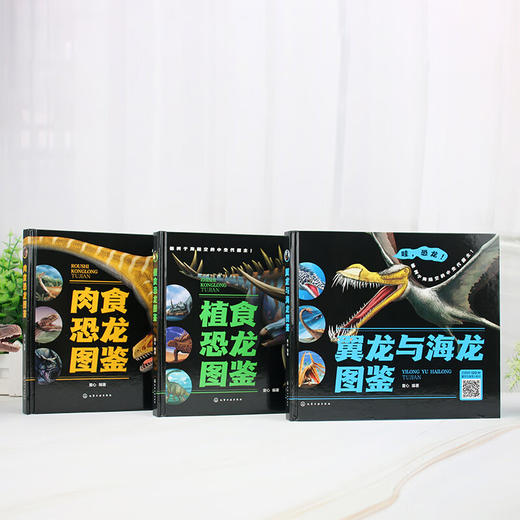 恐龙图鉴 3-6岁 童心 编著 科普 商品图1