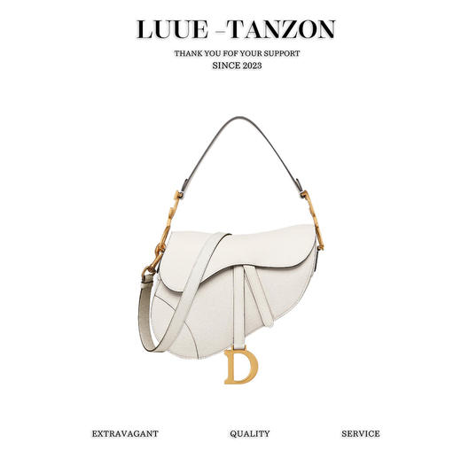 迪奥-火IT Bag# 马鞍包（LZ） 商品图0