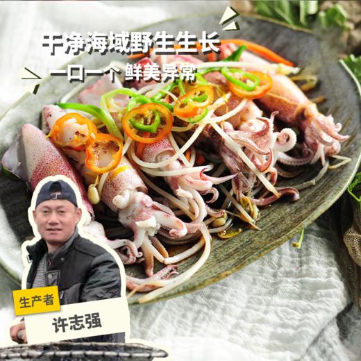 野生活冻小管 | 合作生产 * Wild Dongshan Island seafood | Coproduction 商品图0