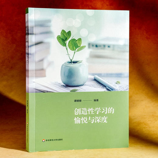 创造性学习的愉悦与深度 谭珊珊 培育创新思维的学习设计 商品图3