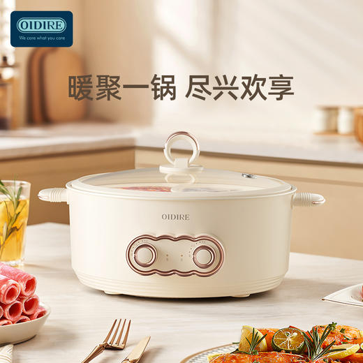 德国OIDIRE鸳鸯电火锅 ODI-DHG19 商品图0