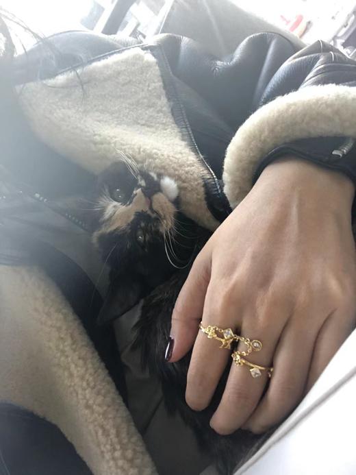 驴家 多配件套戒平时戴16-17mm内直径的尺寸适合（ZS*XTY） 商品图3