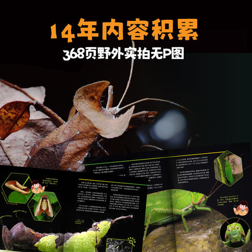 博物大发现 找找看(全3册) 商品图3