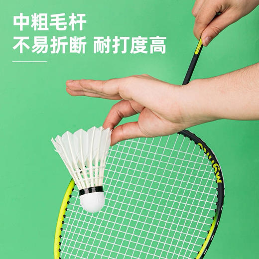 安格耐特F2201羽毛球稳定弹性软木头耐打羽毛球 6个装 商品图1