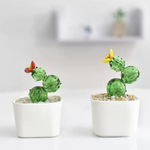 盆栽玻璃摆件/随机发货 商品图0