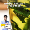 生态桑叶茶  | 绿家自产 *Ecological mulberry leaf tea| Self-production 商品缩略图0