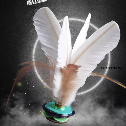 大白毽子运动专用儿童小学生成人比赛羽毛腱球 商品图0