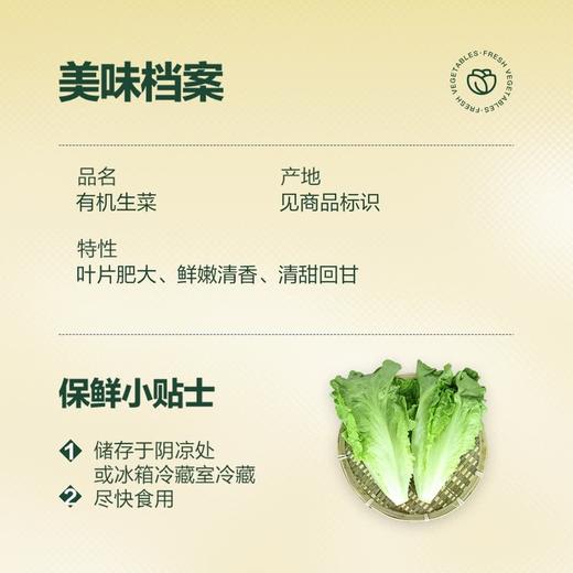 MM 山姆 Member's Mark 有机生菜 600g 商品图1