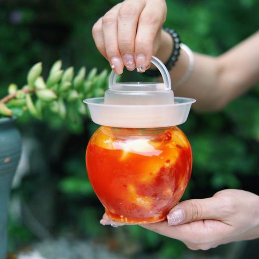 正宗托口生姜（2罐） | 夏天要吃姜，脆嫩爽口又养身，开盖即食 商品图9