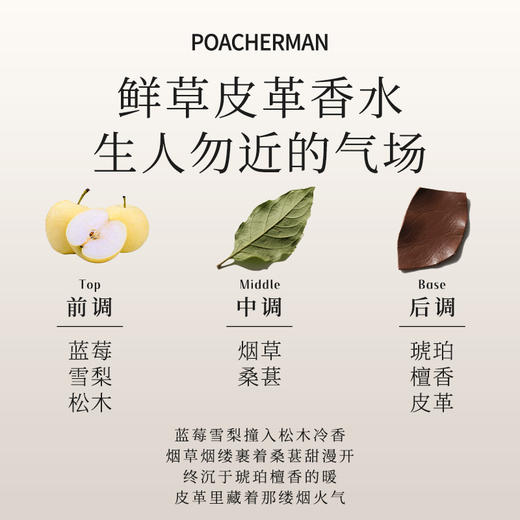 柏世曼鲜草皮革香水 绿意烟熏皮革高级持久留香男士中性小众香氛 商品图2