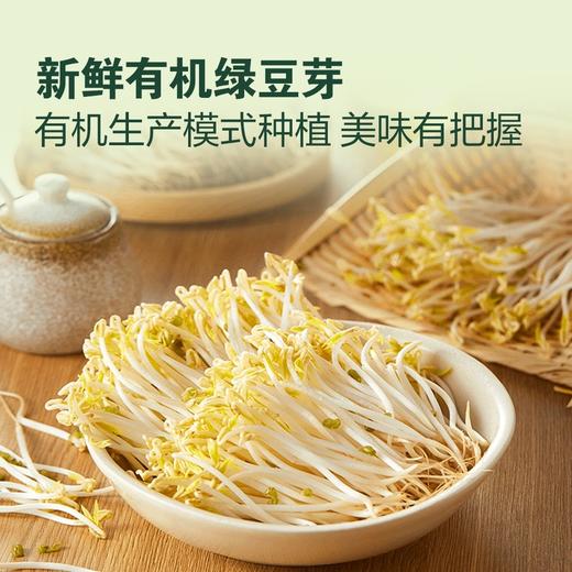 MM 山姆 有机绿豆芽 600g 商品图3