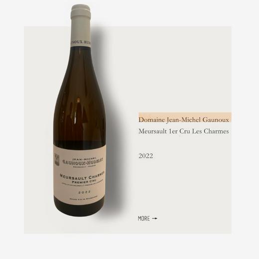 Domaine Jean-Michel Gaunoux Meursault 1er Cru Les Charmes  2022让米歇尔戈努酒庄默尔索一級園夏姆园干白2022 商品图0