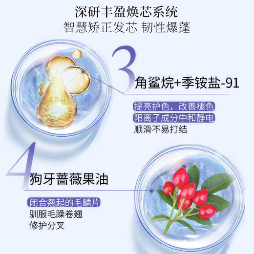 【资生堂】芯护理道头皮生机系列护发素250g 商品图3