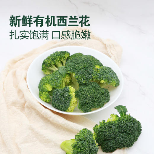 MM 山姆 有机西兰花 600g 商品图1