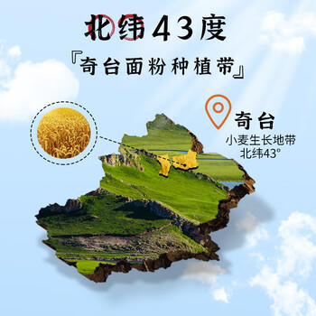 腰站子新疆奇台有机面粉20斤烘焙面食大包装通用小麦粉包邮 /粮油调味 /面粉 /通用粉 商品图5