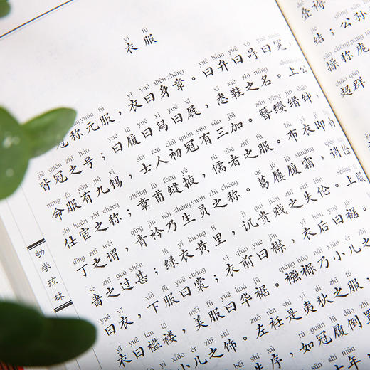 幼学琼林 中华经典诵读本书籍 商品图3