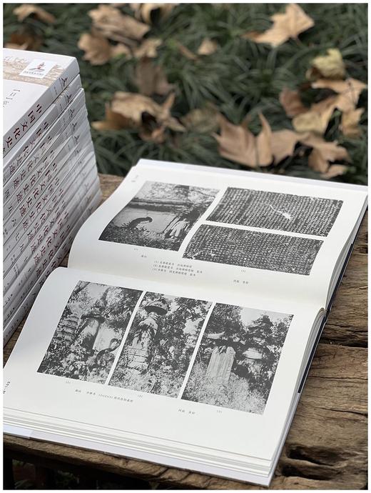 重点推荐！！《中国文化史迹》，全12册，精装，8开大册，常盘大定、关野贞著，上海辞书，2018年11月一版一印，定价8800，售价2480（全新原箱包邮） 商品图9