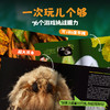 博物大发现 找找看(全3册) 商品缩略图4