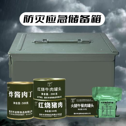 【三防铁桶 长期储备】营养应急储备口粮 商品图0