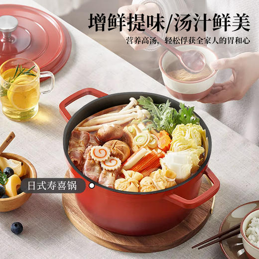 荣事达-鸿运当头珐琅锅RC-FL24SN 商品图2