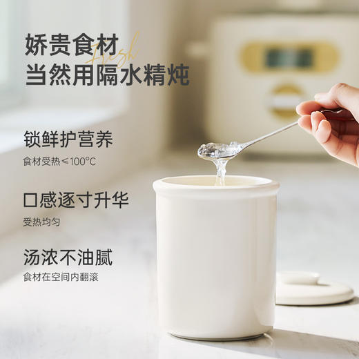 电炖锅 | 隔水蒸汽炖 4个0.5升小炖盅+1个2.5升大炖盅 满足家庭不同需求 天然白瓷炖盅 真养炖不破坏食材 变频细炖锁营养 商品图4