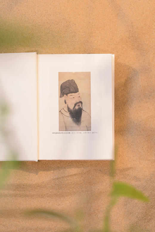 陪你去看苏东坡（全新增订版） 商品图3