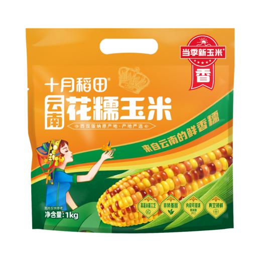 【云南西双版纳玉米组合】拇指玉米500g＋紫糯拇指玉米500g＋小花糯玉米1kg 商品图3