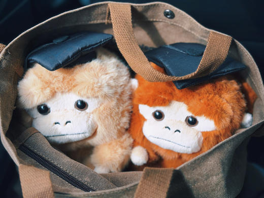 【新品早鸟价】学术吗喽公仔（两色可选）  文创 送礼  礼物  陪伴玩偶 广西师范大学出版社 商品图3