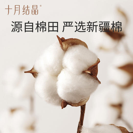 【单条低至2.1元起】十月结晶免洗日抛纯棉灭菌便携一次性内裤组合装 商品图1