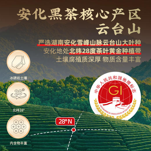 茶马世家安化黑茶官方旗舰店正品湖南茯茶手筑金花茯砖480g 商品图1