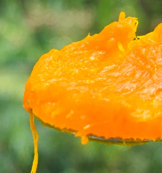 叁色栗栗南瓜|这款会变色的魔法南瓜，上榜《熊猫指南》中国优质农产品榜单纯天然种植，一颗南瓜随时间变化呈现三种色彩、三种风味(墨绿高粉、灰绿粉甜、橙红甜糯)。口感粉糯香甜，一口惊艳~ 商品图2