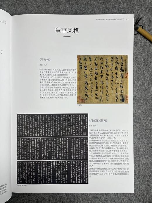 【国展内参-全国第十三届书法篆刻展草书解析与创作手记】 商品图3