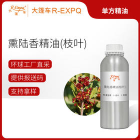 熏陆香精油（枝叶）希腊进口单方精油原料批发芳疗护理调香