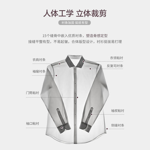 【总裁系列】新疆天山棉皇家牛津纺DP免烫长袖衬衫250Y0F646L[门店专款] 商品图6