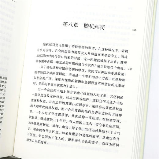 惩罚原理(精装) 商品图9