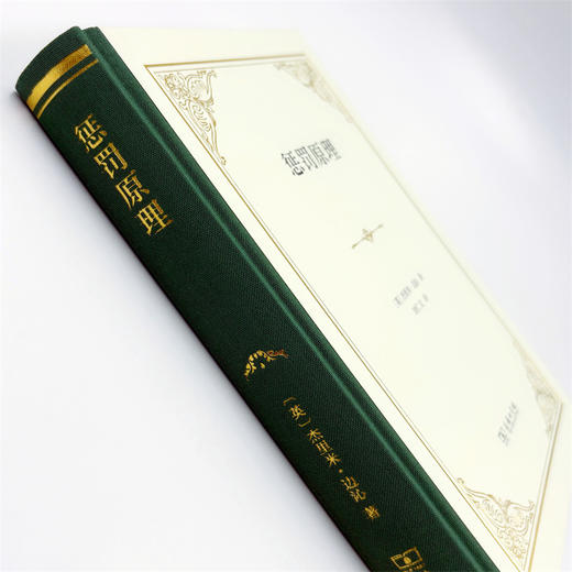 惩罚原理(精装) 商品图5