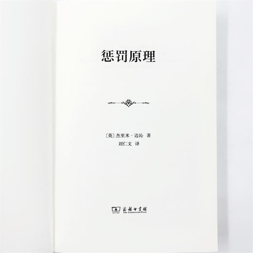 惩罚原理(精装) 商品图6