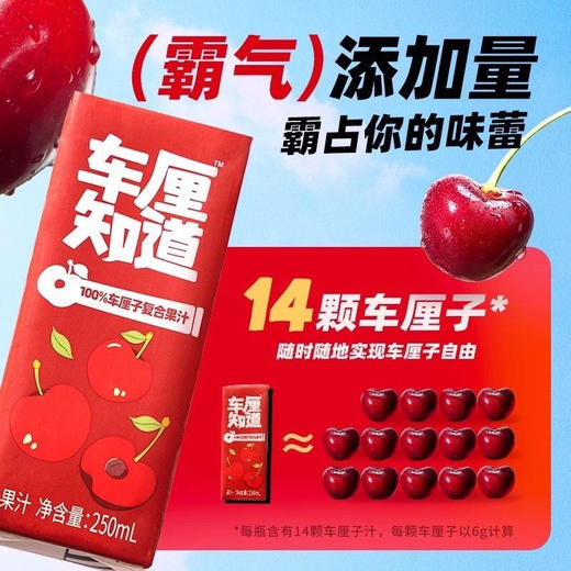 光合植造100%车厘子复合果汁 商品图1